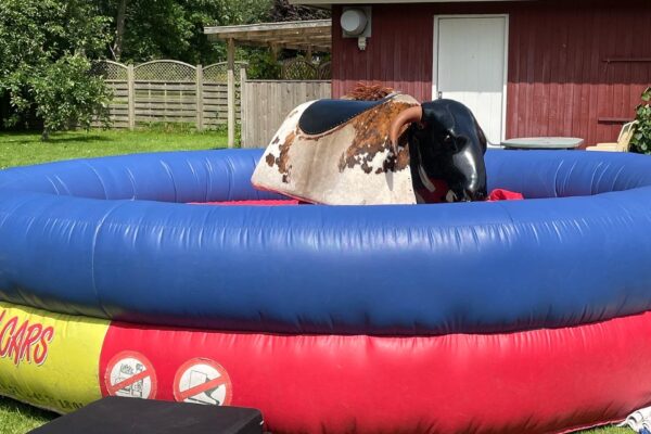 Rodeotyr Rodeotyr
